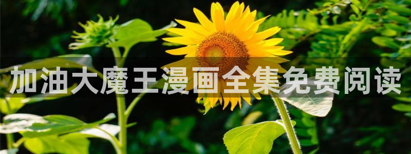 51漫画官网lezhin：加油大魔王漫画全集免费阅读