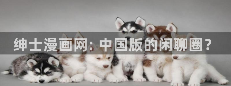 51漫画网址在线免费：绅士漫画网: 中国版的闲聊圈？