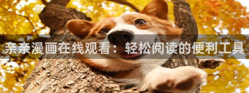 51漫画漫画免费阅读看漫画下拉无删减：亲亲漫画在线观看：轻松阅读的便利工具
