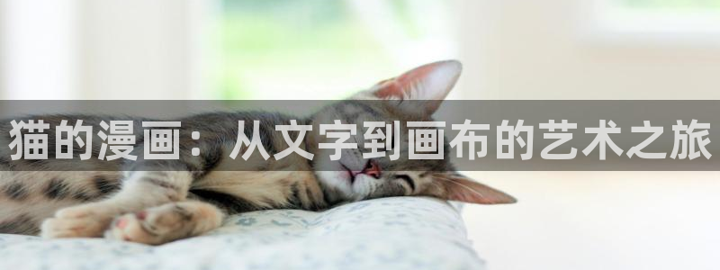 51漫画腐漫画：猫的漫画：从文字到画布的艺术之旅