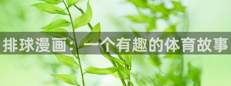 51漫画免费入口：排球漫画：一个有趣的体育故事