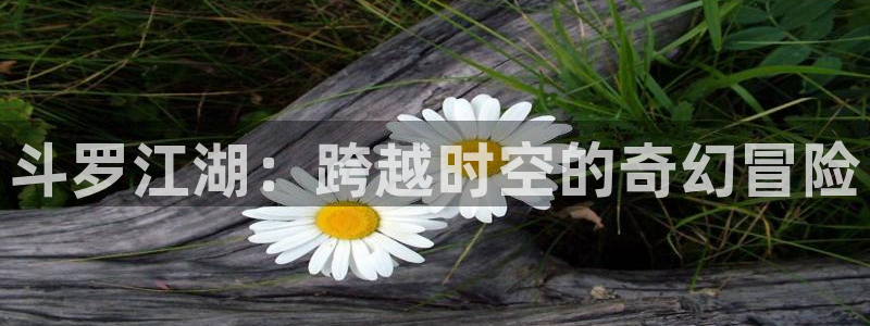 大猫漫画网大全51漫画：斗罗江湖：跨越时空的奇幻冒险