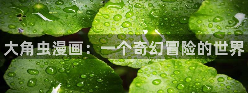 51漫画观看网址