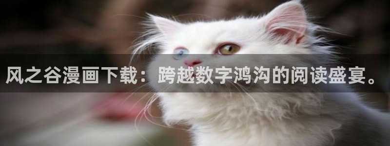 生肉51漫画在线观看