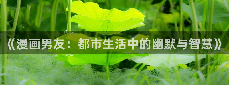 51漫画在线免费观看网站