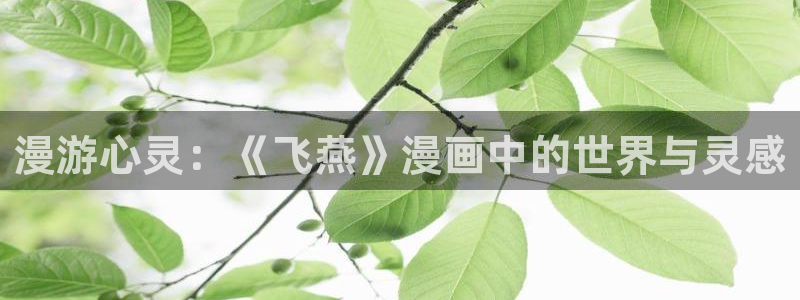 51漫画画免费阅读在哪里看