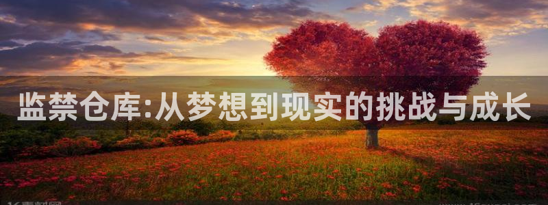 免费黄色51漫画在线观看：监禁仓库:从梦想到现实的挑战与成长