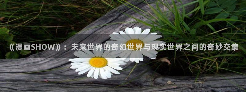 51漫画双男主的漫画：《漫画SHOW》：未来世界的奇幻世界与现实世界之间的奇妙交集
